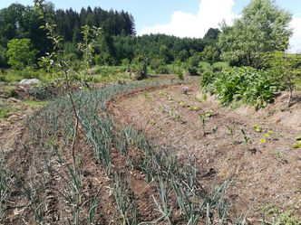 Solidarische Landwirtschaft