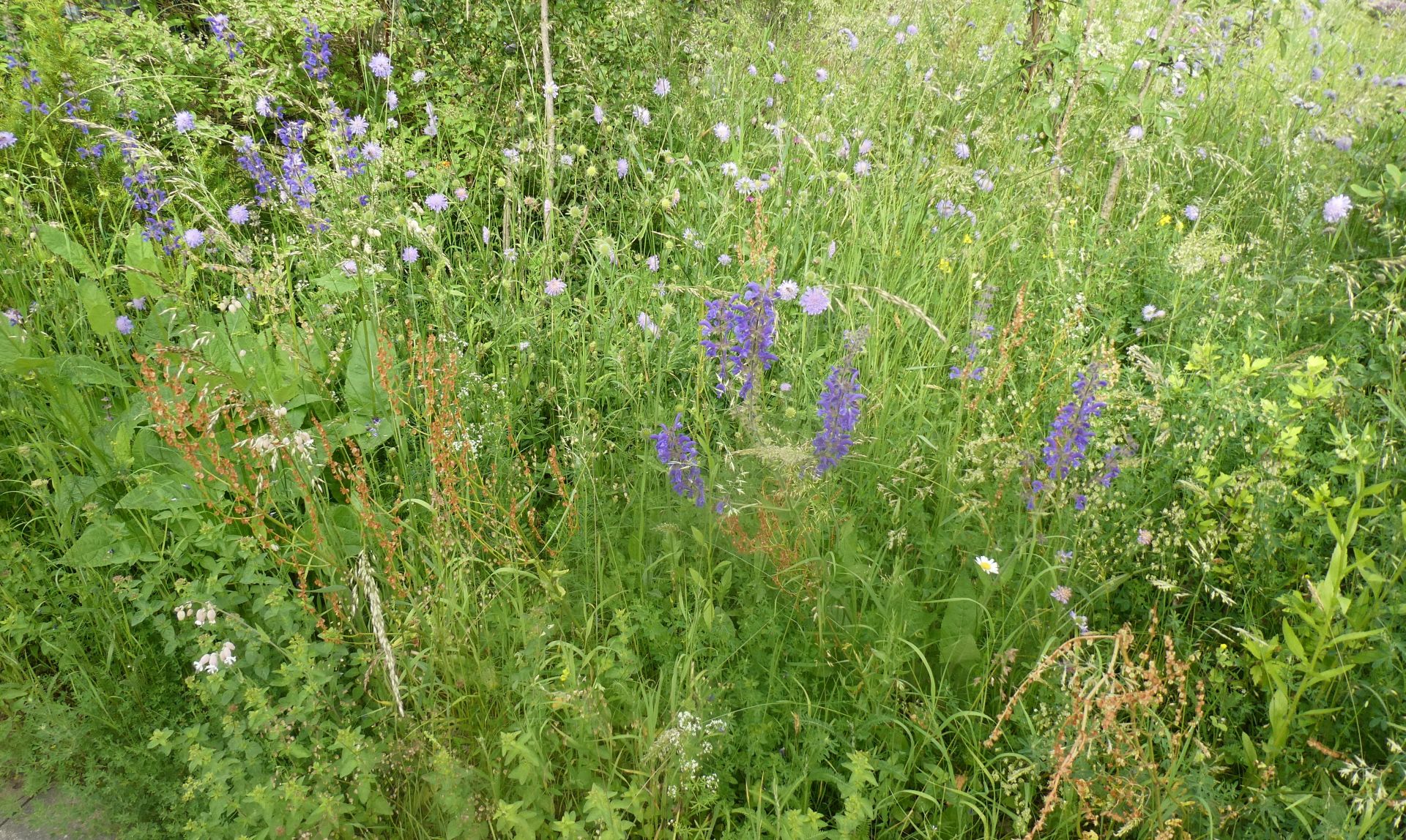 DER NATURNAHE GARTEN - BUND Naturschutz In Bayern E.V.